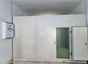 ������������������������Ų������